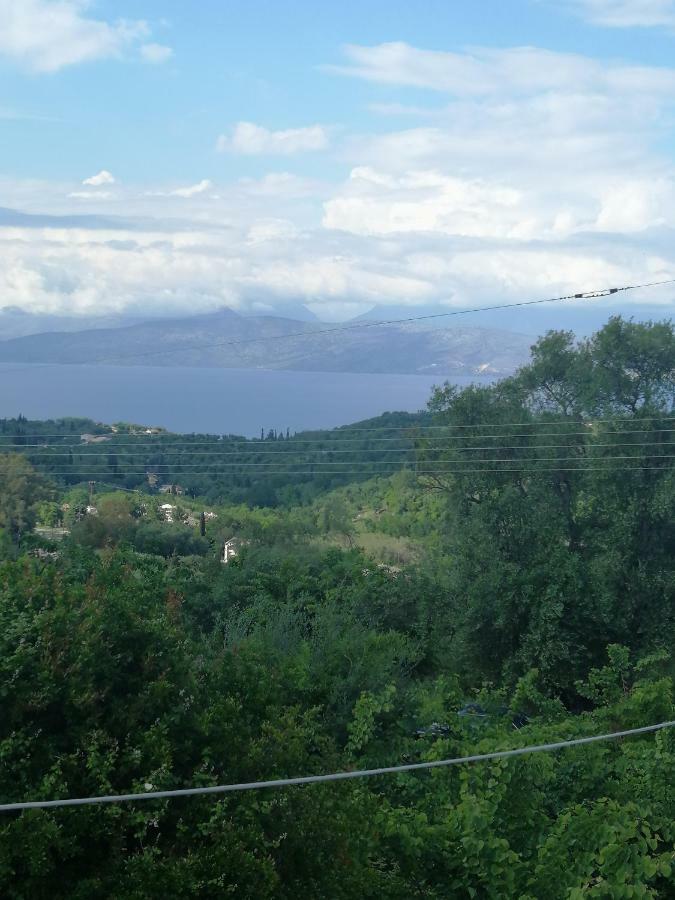 Olive Grove Deluxe Apartment Agnitsini Exterior photo