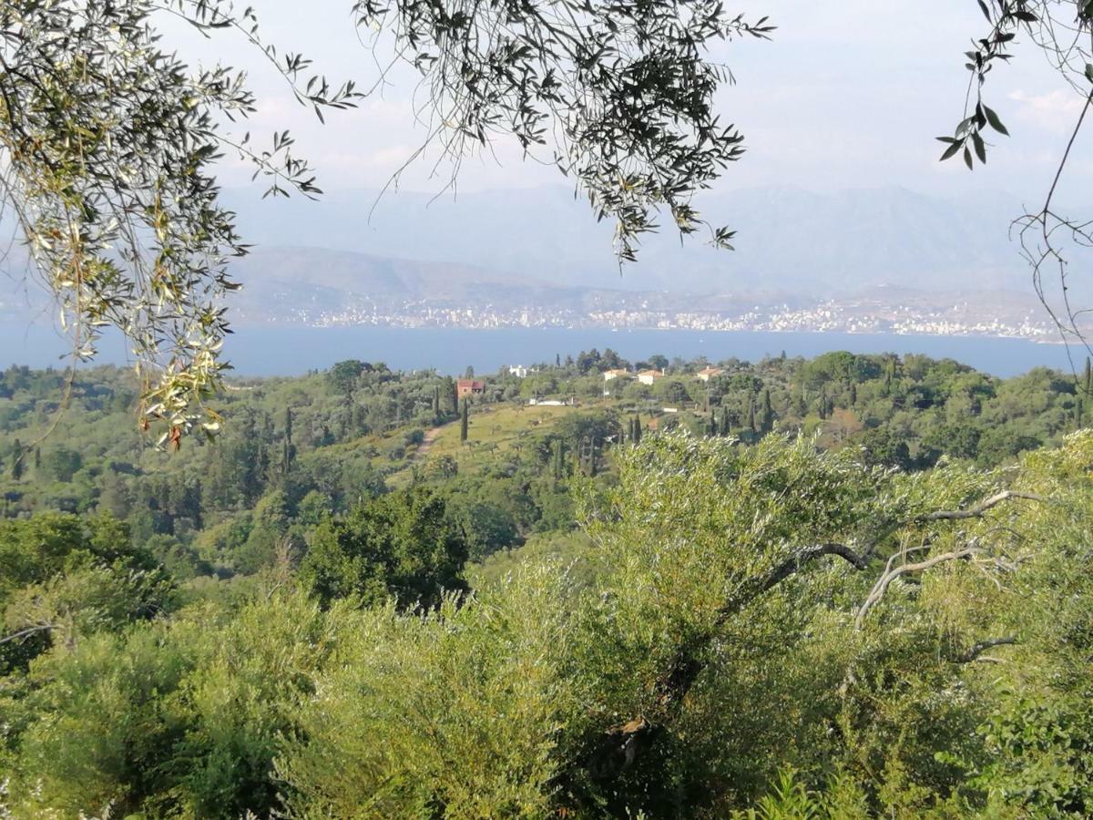 Olive Grove Deluxe Apartment Agnitsini Exterior photo